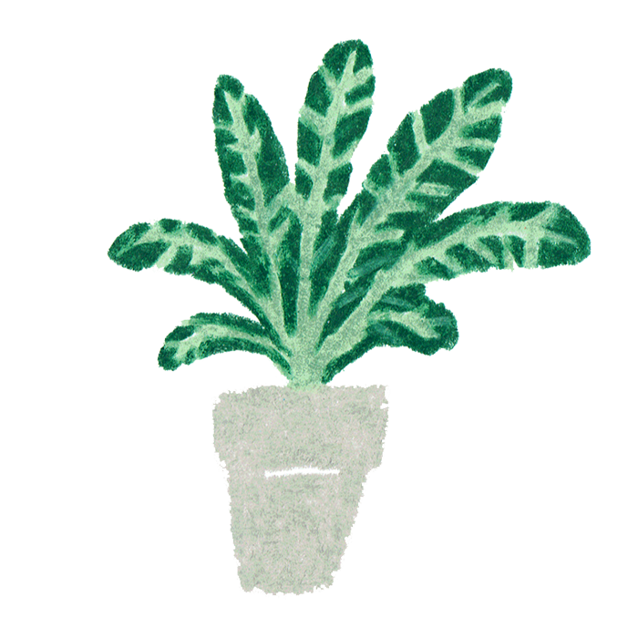 プライバシーポリシーのアイコンイラストで観葉植物のイラストを使います