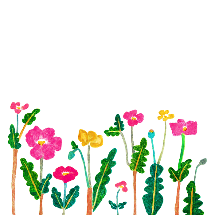 プレ大会のアイコンイラストでお花を使います